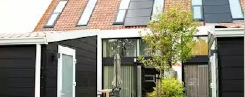 DH6 hond