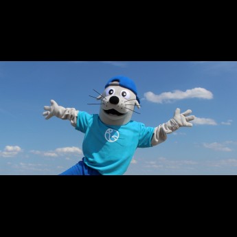 1 Wizzl in de wolken.jpg