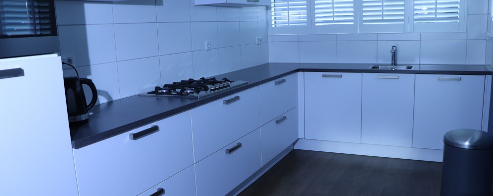 Keuken Duinhuis 19 hond