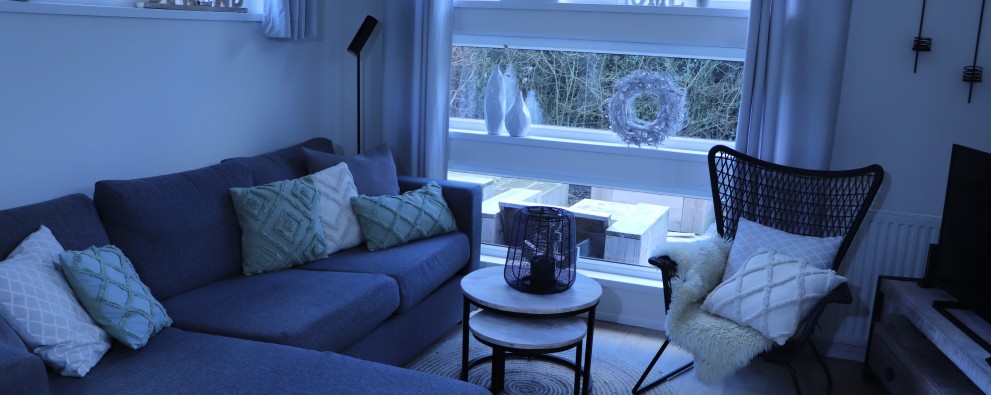 Woonkamer boormossel 6/7 met hond